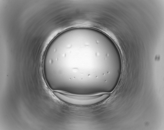 X0000093361488200711011157