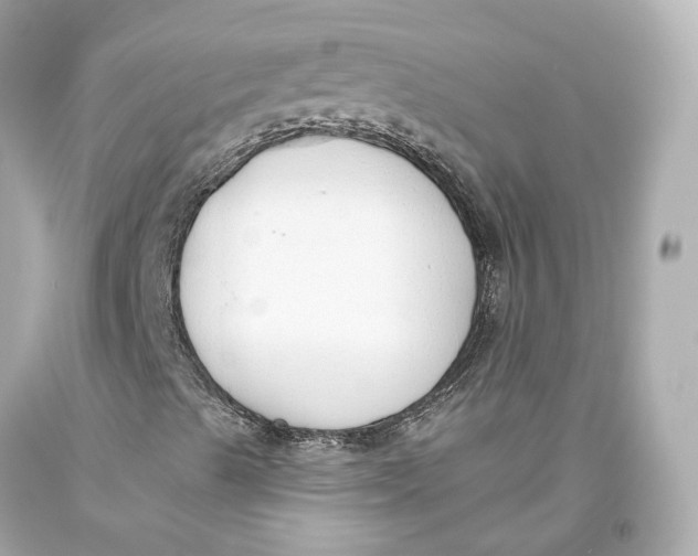 X0000093361489200711011156