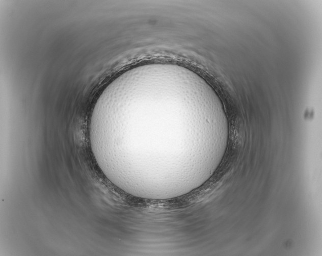 X0000093361490200711011156