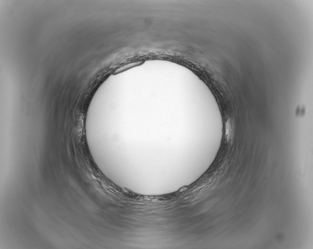 X0000093361492200711011156