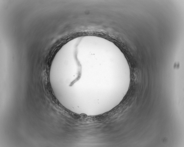 X0000093361493200711011156