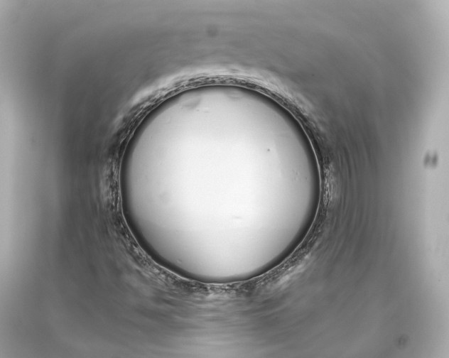 X0000093361494200711011156