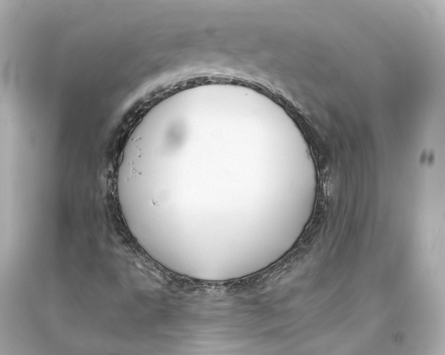 X0000093361495200711011156