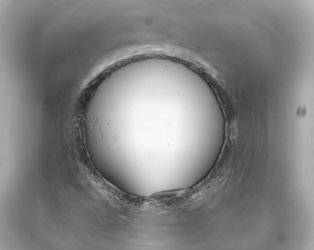 X0000093361496200711011156