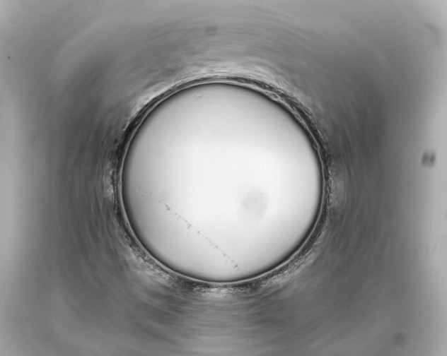 X0000093361497200711011156