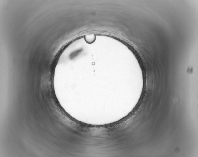 X0000093361498200711011156