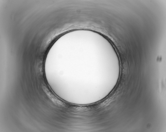 X0000093361499200711011156