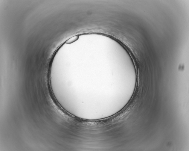 X0000093361500200711011156