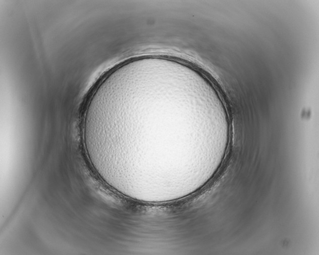 X0000093361501200711011156