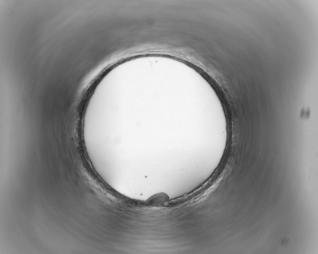 X0000093361502200711011156