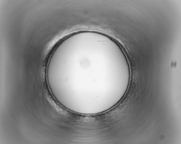 X0000093361503200711011156