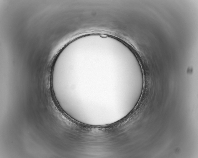 X0000093361504200711011156