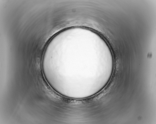 X0000093361505200711011156