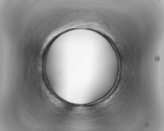 X0000093361506200711011156