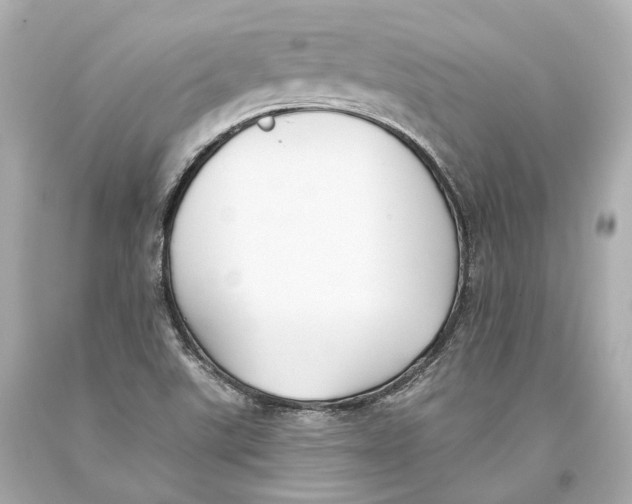 X0000093361507200711011156