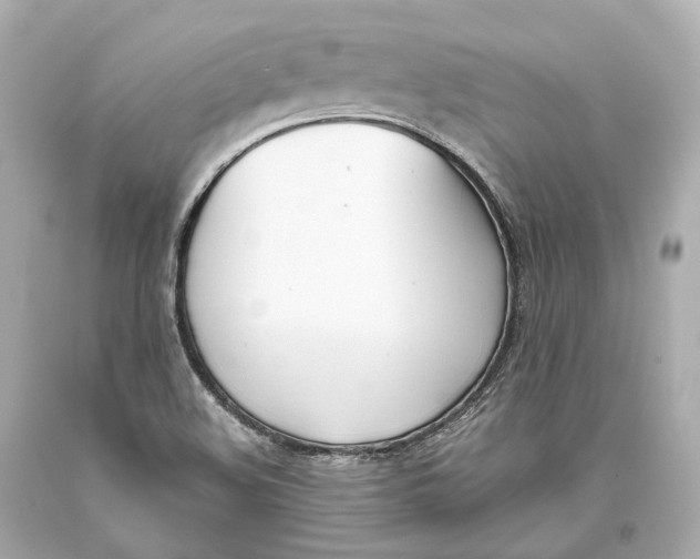 X0000093361508200711011156