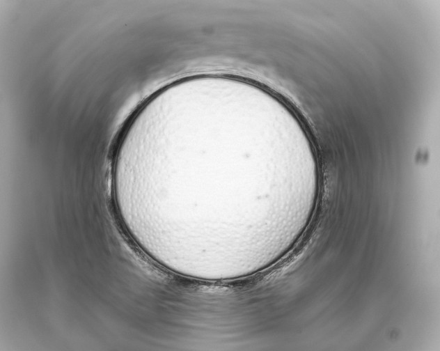 X0000093361509200711011156