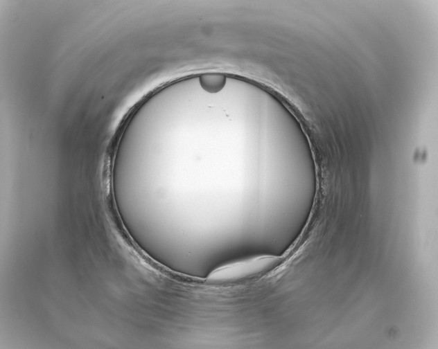 X0000093361510200711011156