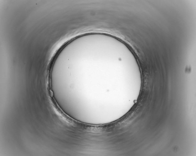 X0000093361511200711011156