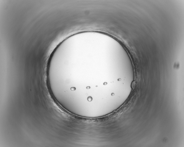 X0000093361512200711011156