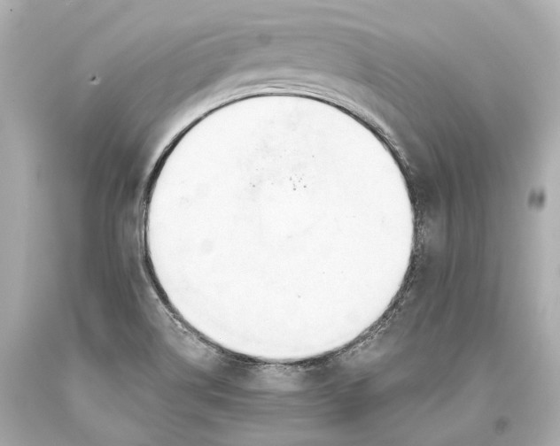 X0000093361514200711011156