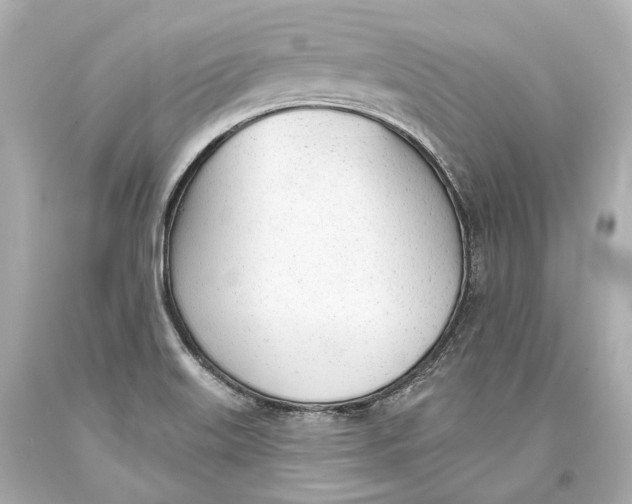 X0000093361515200711011156