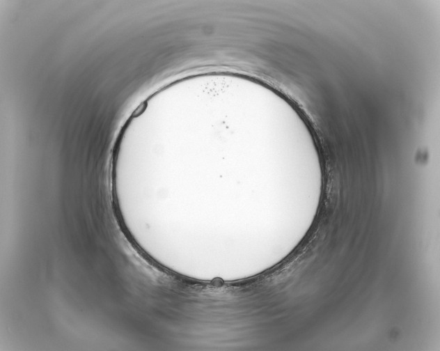 X0000093361516200711011157