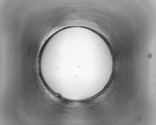 X0000093361517200711011157