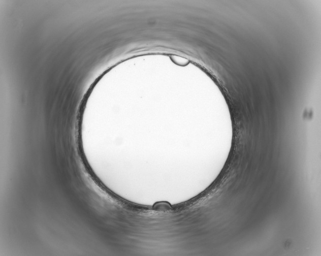 X0000093361518200711011157