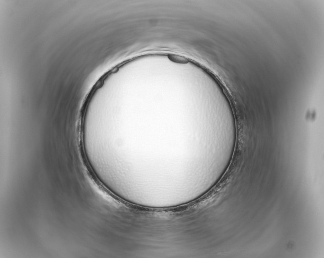 X0000093361519200711011157