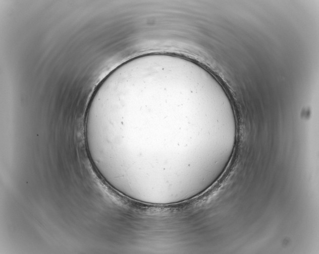 X0000093361521200711011157