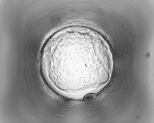 X0000093361522200711011157