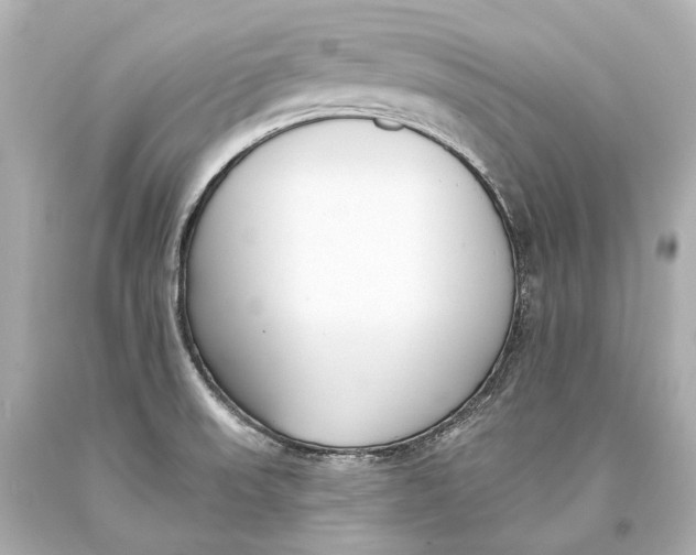 X0000093361523200711011157