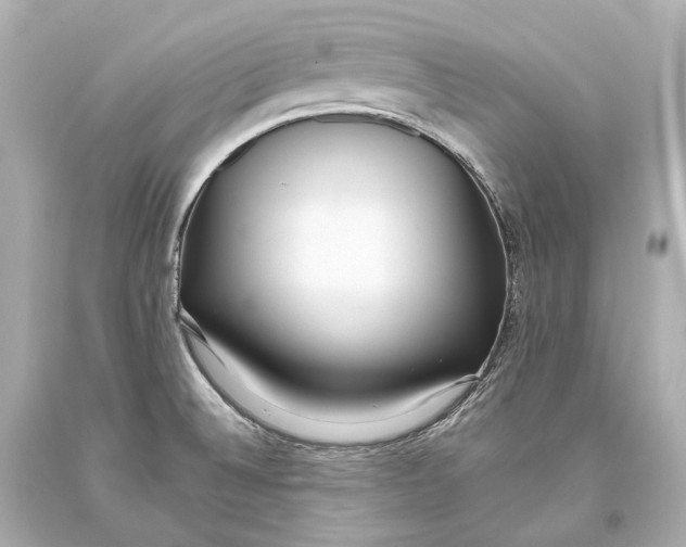 X0000093361524200711011157