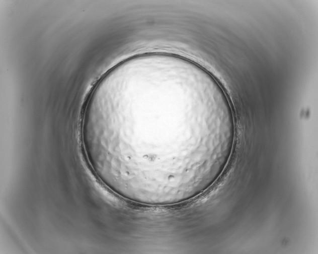 X0000093361525200711011157