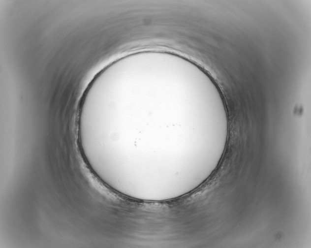 X0000093361526200711011157