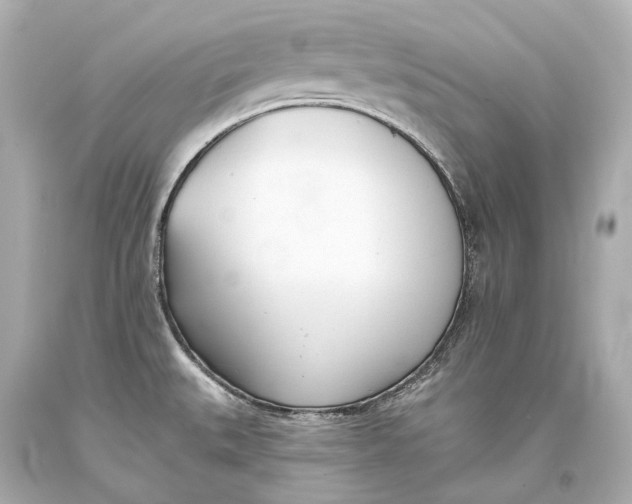 X0000093361527200711011157