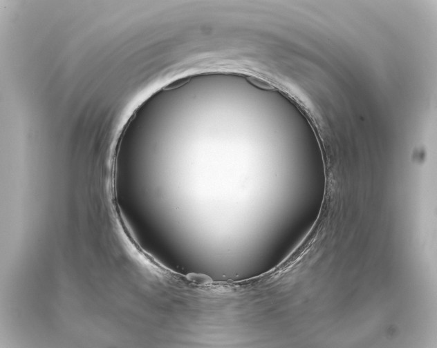 X0000093361528200711011157