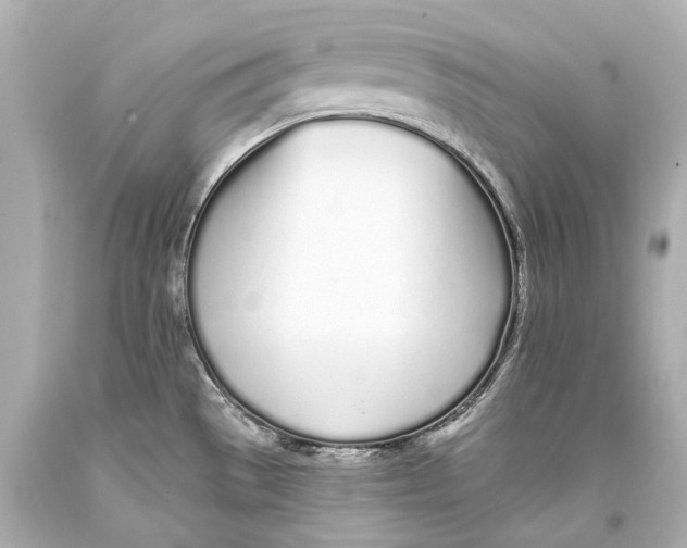 X0000093361529200711011157