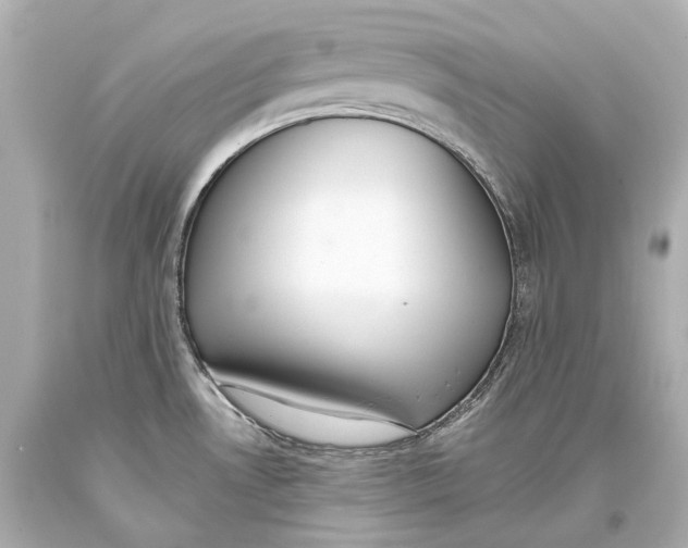 X0000093361530200711011157