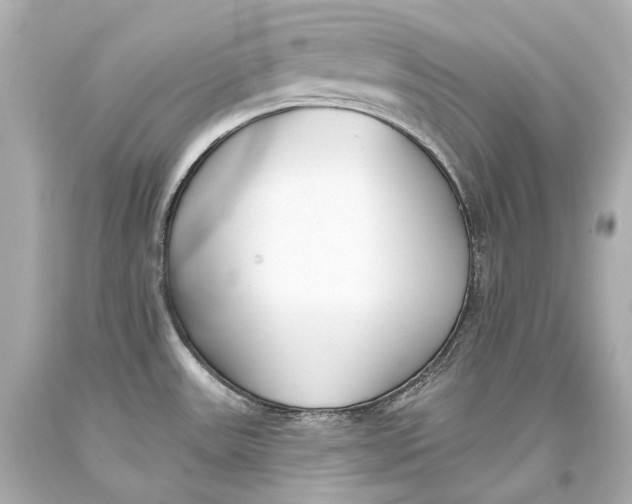 X0000093361531200711011157