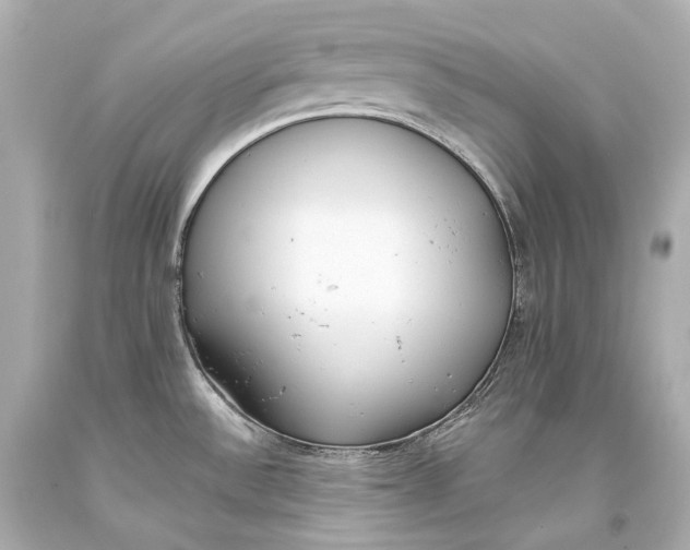 X0000093361532200711011157