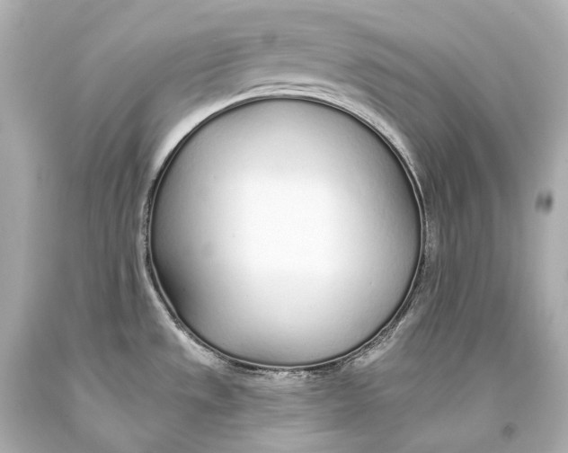 X0000093361533200711011157