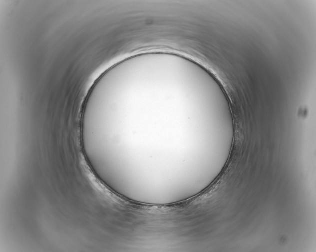 X0000093361534200711011157