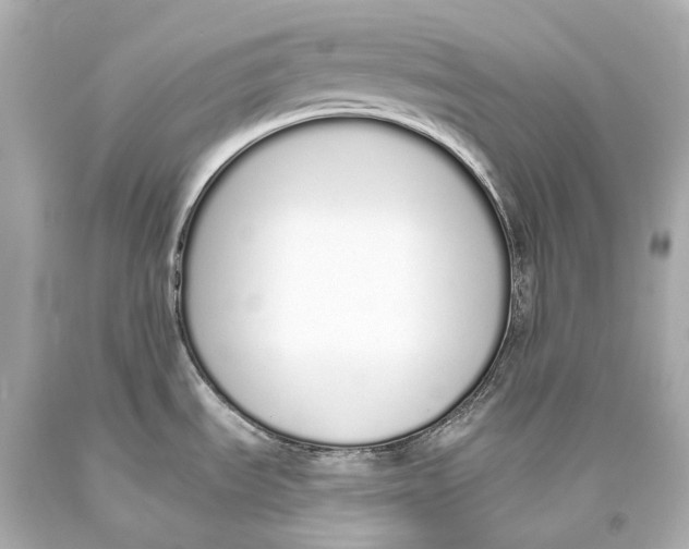 X0000093361535200711011157