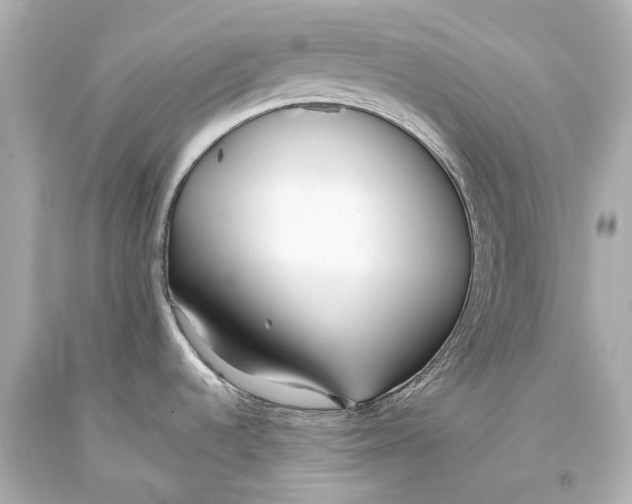 X0000093361536200711011157