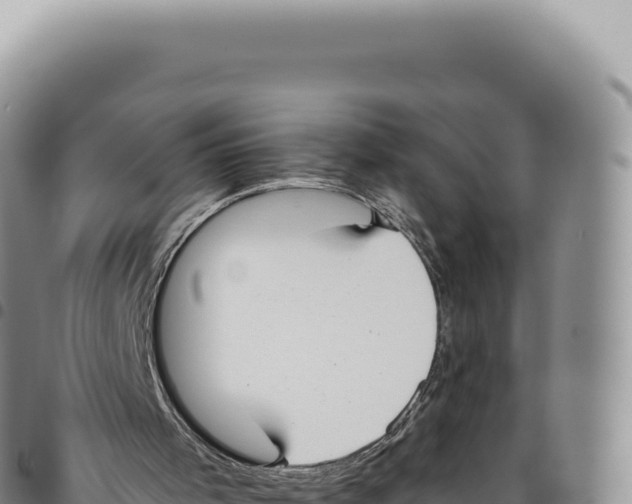 X0000093360001200711081524
