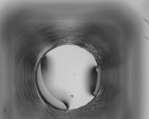 X0000093360003200711081524