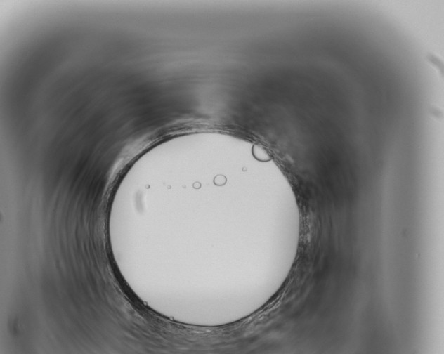 X0000093360004200711081524