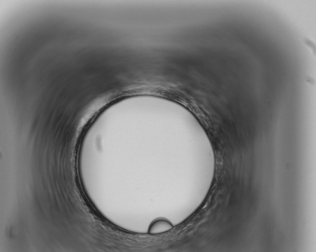 X0000093360006200711081524